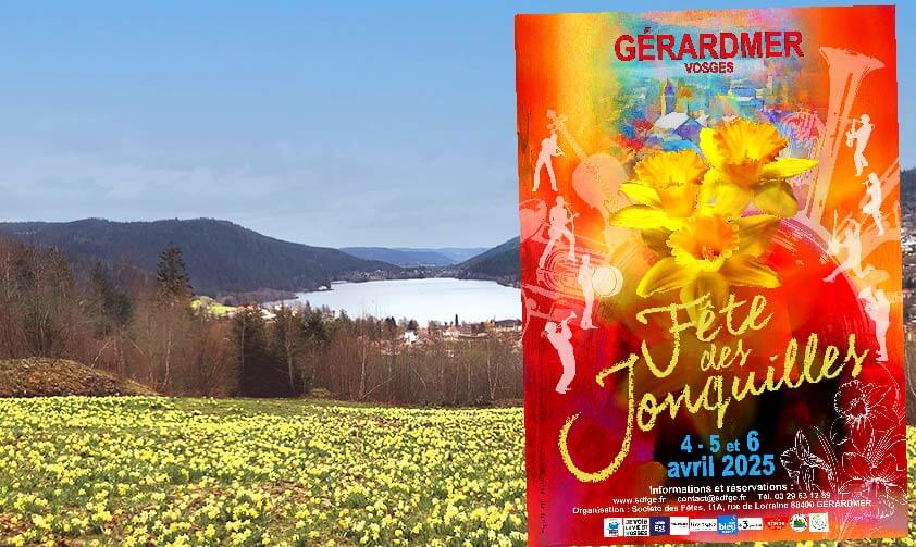 Champ de jonquilles et fête des jonquilles à Gérardmer